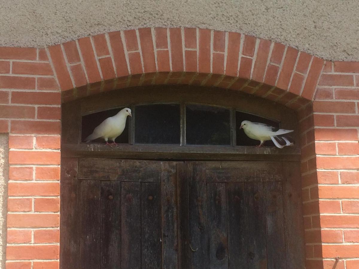 Maison De Vacances Cronat - Au Bord De L'Eurovelo 6 Zewnętrze zdjęcie
